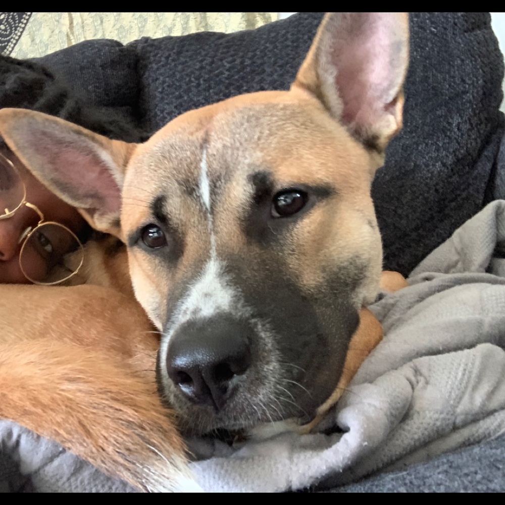 Meet your Posher, Raquel